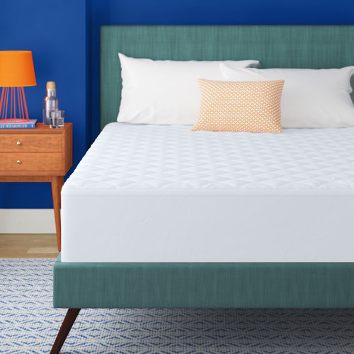 Wayfair Basics™ Fitted Mattress Protector Case Pack & Reviews Wayfair